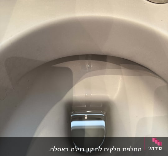 תמונה של פנים אסלה עם מים